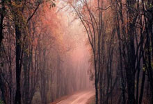 玩加电竞官网：图赫尔：我们在下半场冒了更大的风险，但结果并不尽如人意.