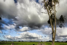 玩加电竞官网：[乒乓球]李武军：国乒队员发挥出色.