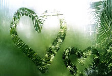 18强赛后续赛程:国足明年3月连战沙特澳大利亚.