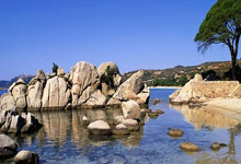 18强赛后续赛程：国足明年3月连战沙特澳大利亚.